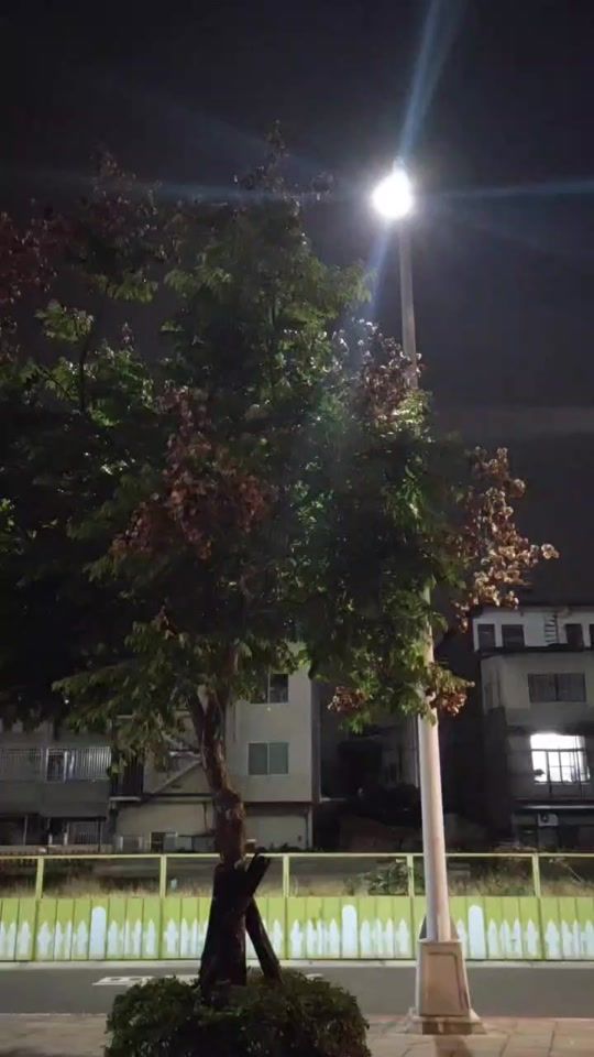 TikTok video thumbnail by ha_rumi