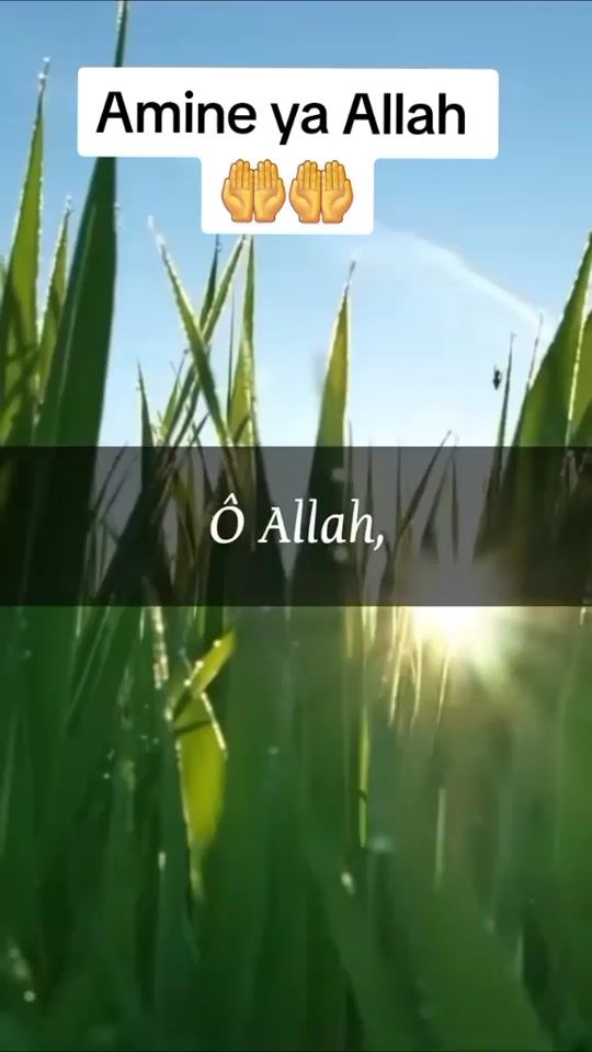 TikTok video thumbnail by ouzefa229