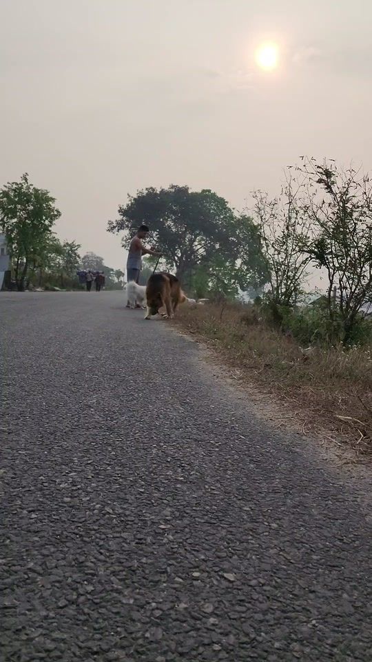 TikTok video thumbnail by jumbo_jessy_puku