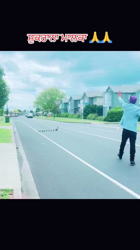 TikTok video thumbnail by randhawasnz