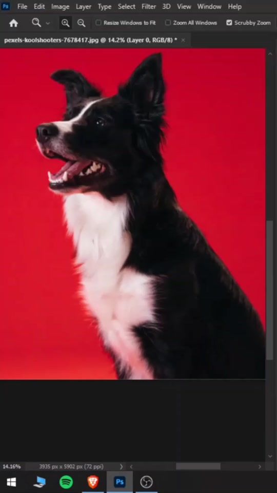 TikTok video thumbnail by thinker.lab