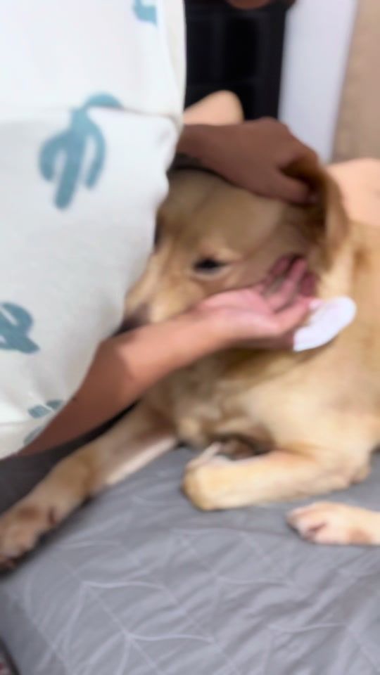 TikTok video thumbnail by jmpetsph