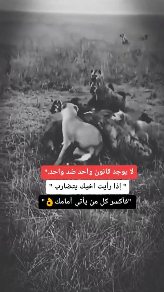 TikTok video thumbnail by klng___99