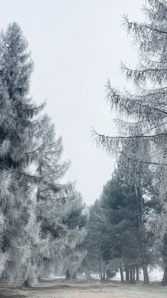 TikTok video thumbnail by histimingisperfect