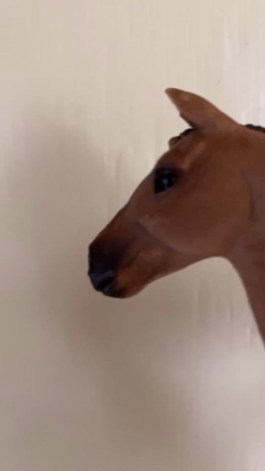 TikTok video thumbnail by schleich708