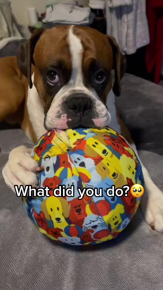 TikTok video thumbnail by leo69555