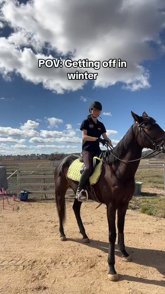 TikTok video thumbnail by florenceequestriann