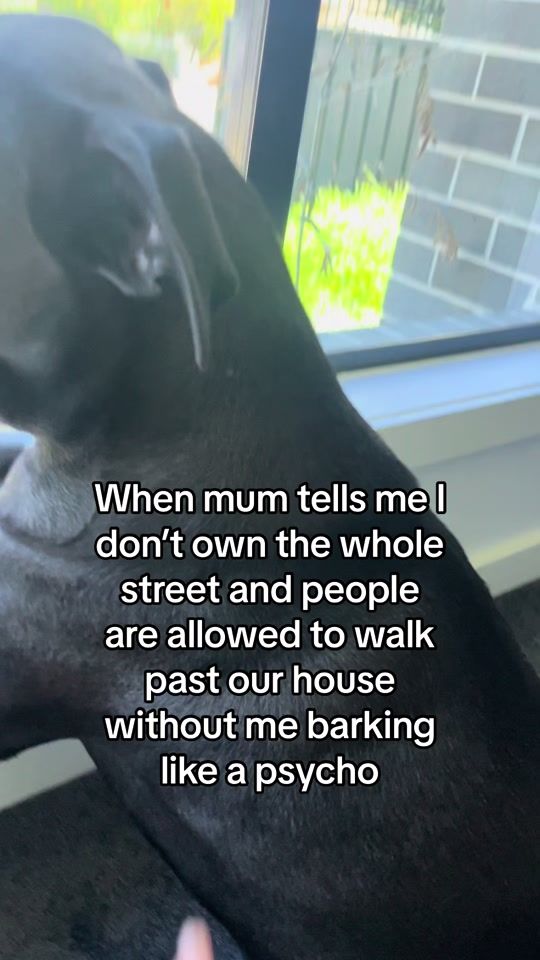TikTok video thumbnail by wigglymolly