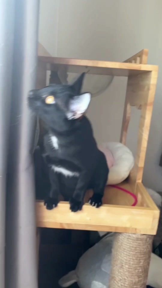 TikTok video thumbnail by ployy_chuekk