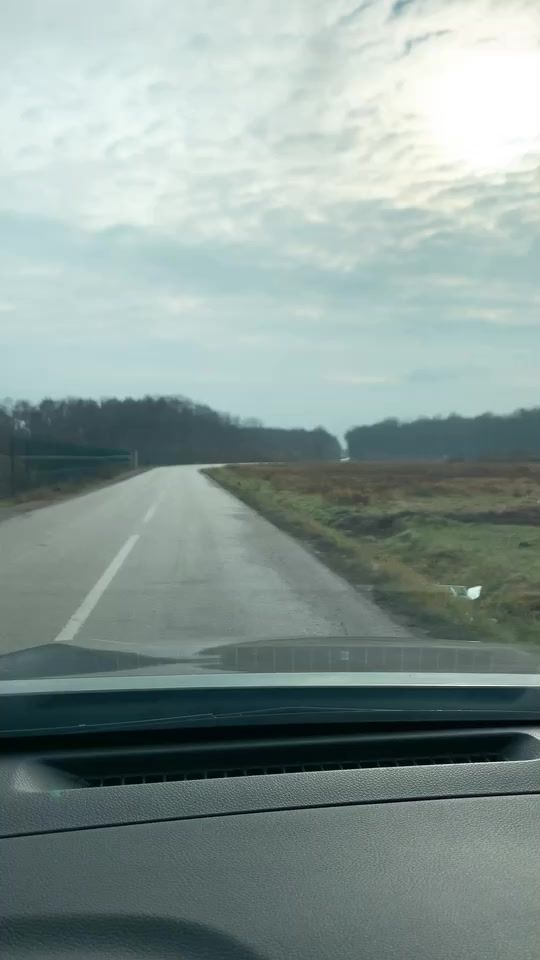 TikTok video thumbnail by healing_quotes