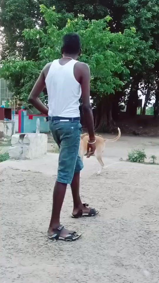TikTok video thumbnail by athigaiparaman