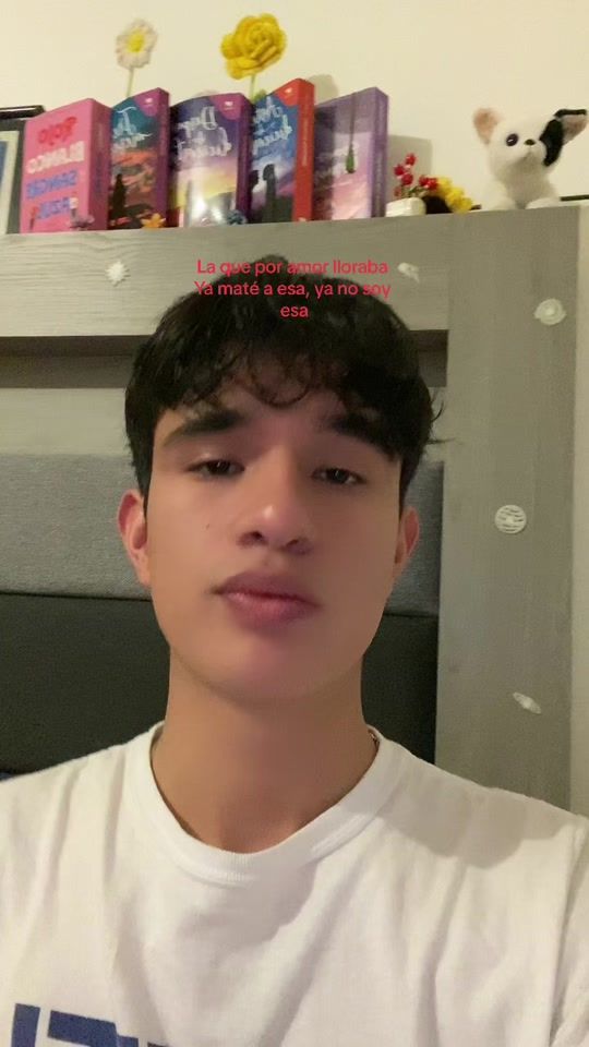 TikTok video thumbnail by _die3g0o_
