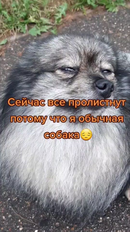 TikTok video thumbnail by spitz.rik