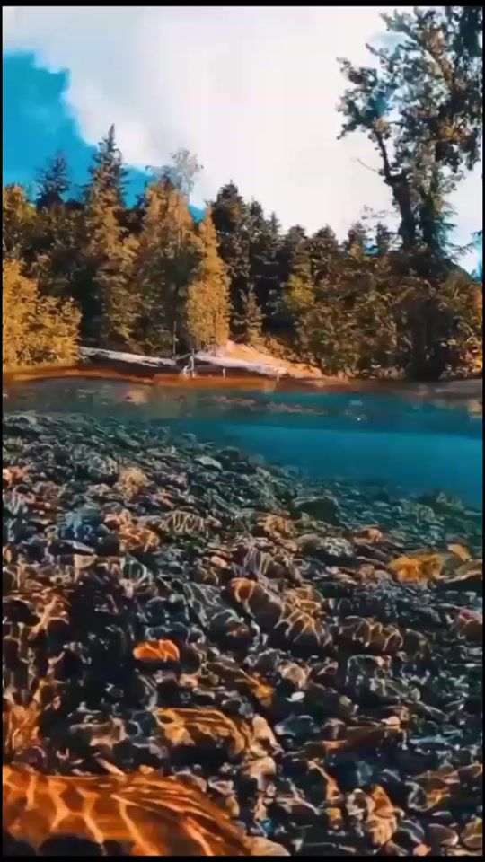 TikTok video thumbnail by fer.pato.135
