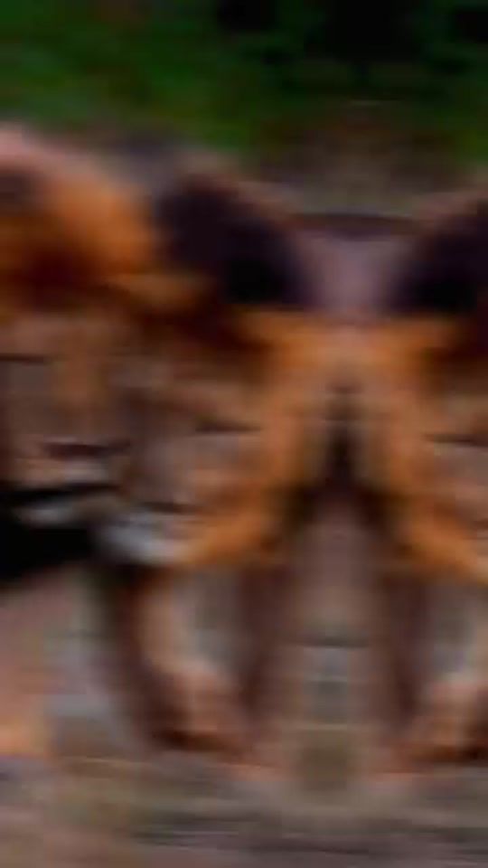 TikTok video thumbnail by 1997kab