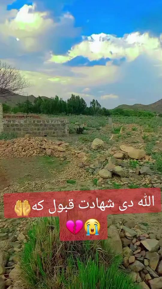 TikTok video thumbnail by sherabdullah2222