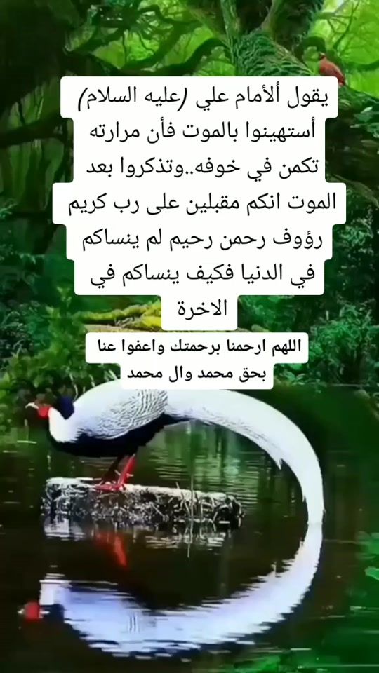 TikTok video thumbnail by lyu687