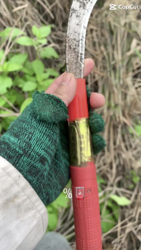 TikTok video thumbnail by armu406