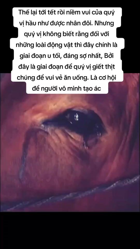 TikTok video thumbnail by thiithii052