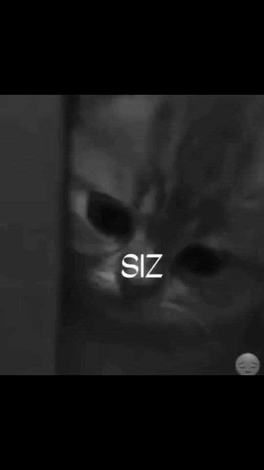TikTok video thumbnail by islom__1717