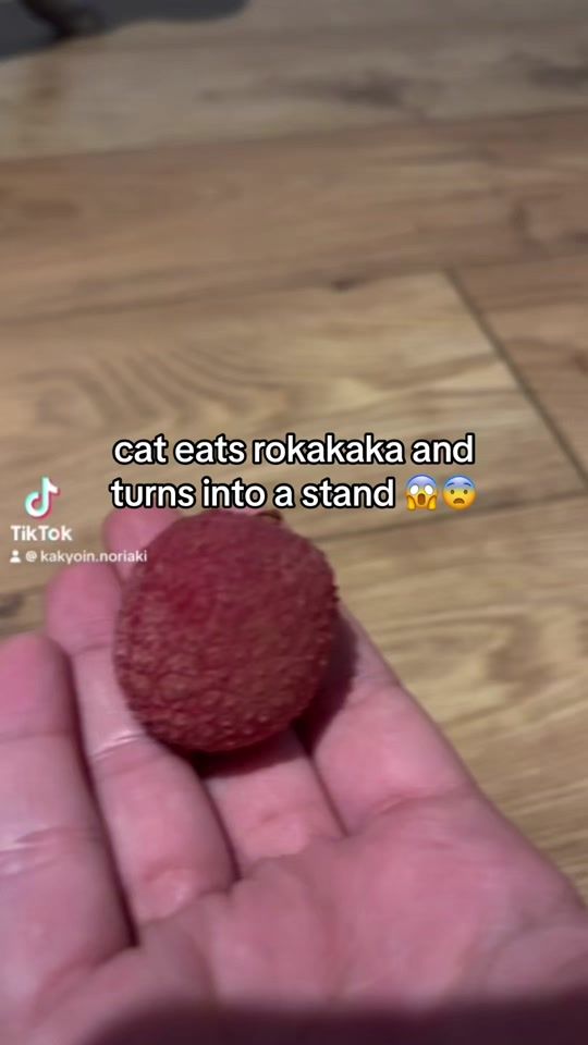 TikTok video thumbnail by kakyoin.noriaki