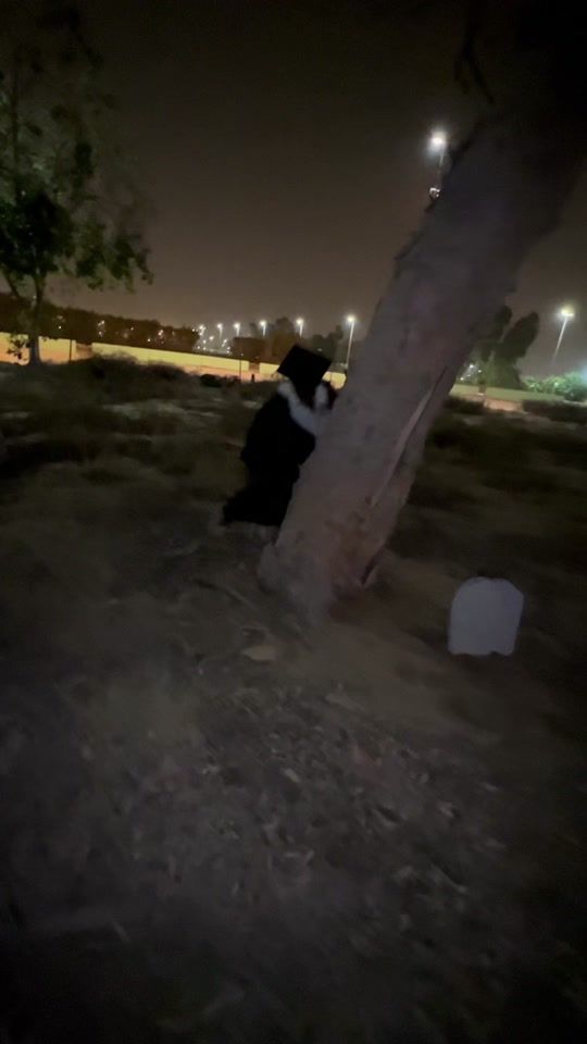 TikTok video thumbnail by my.pic