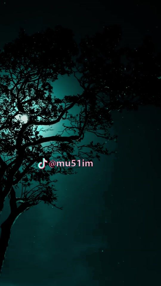 TikTok video thumbnail by mu51im