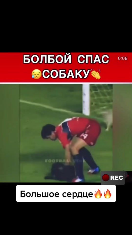 TikTok video thumbnail by houjey