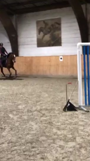 TikTok video thumbnail by lieblingsfuchs