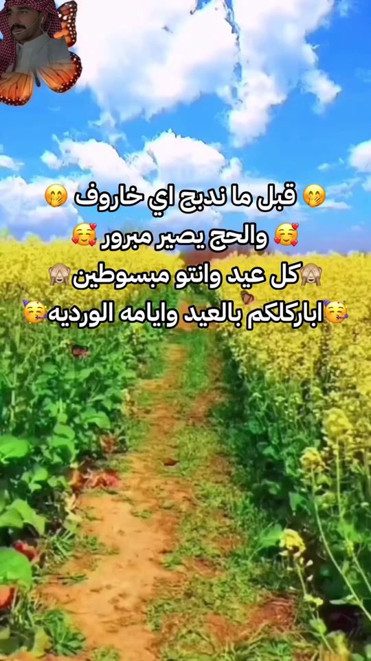 TikTok video thumbnail by l17.99