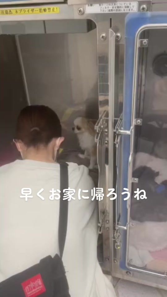 TikTok video thumbnail by t.a.n.b.o