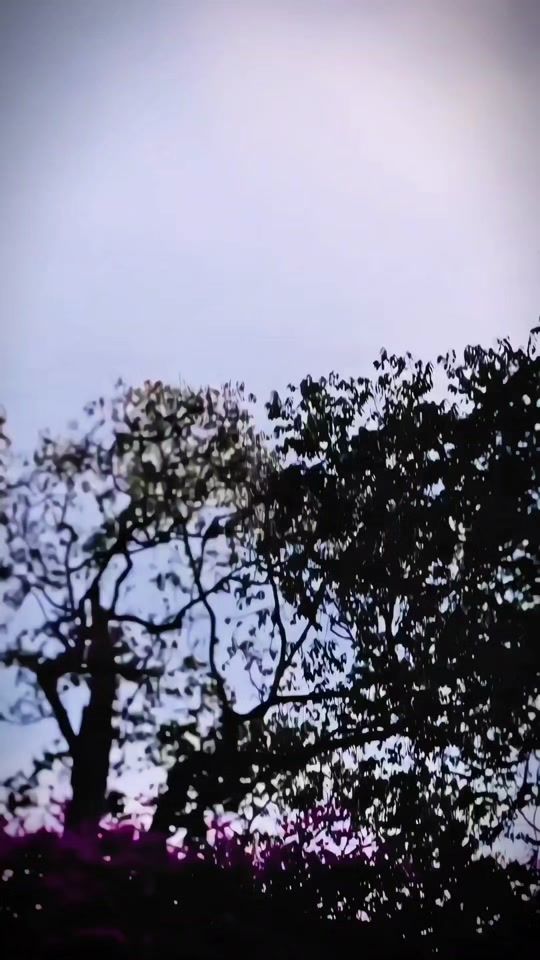 TikTok video thumbnail by hunnyrahul55