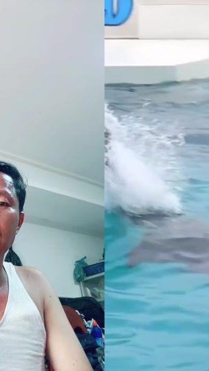 TikTok video thumbnail by limchhung