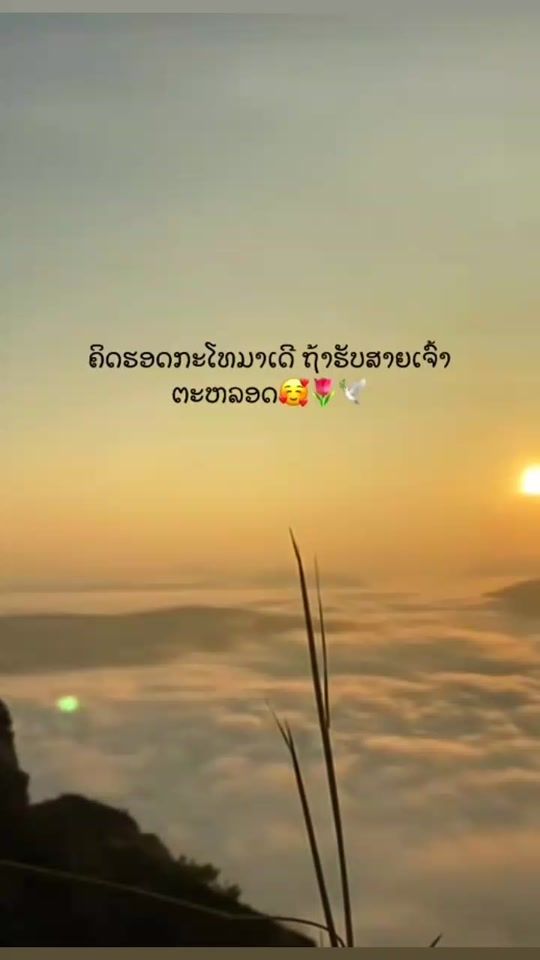 TikTok video thumbnail by jmous3