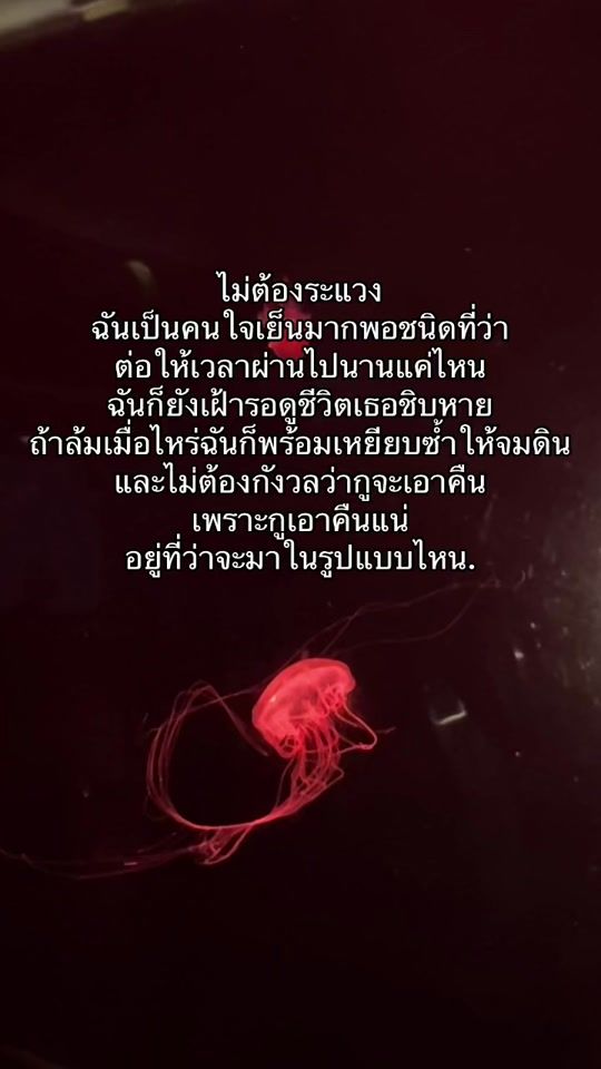TikTok video thumbnail by a.1740