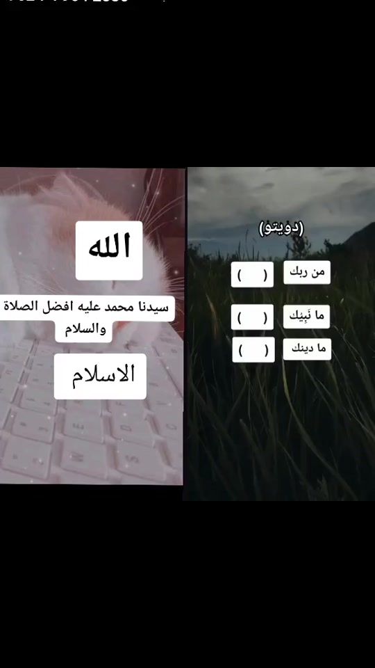 TikTok video thumbnail by user47239287