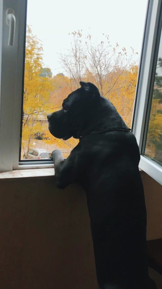 TikTok video thumbnail by iiakkooberaa