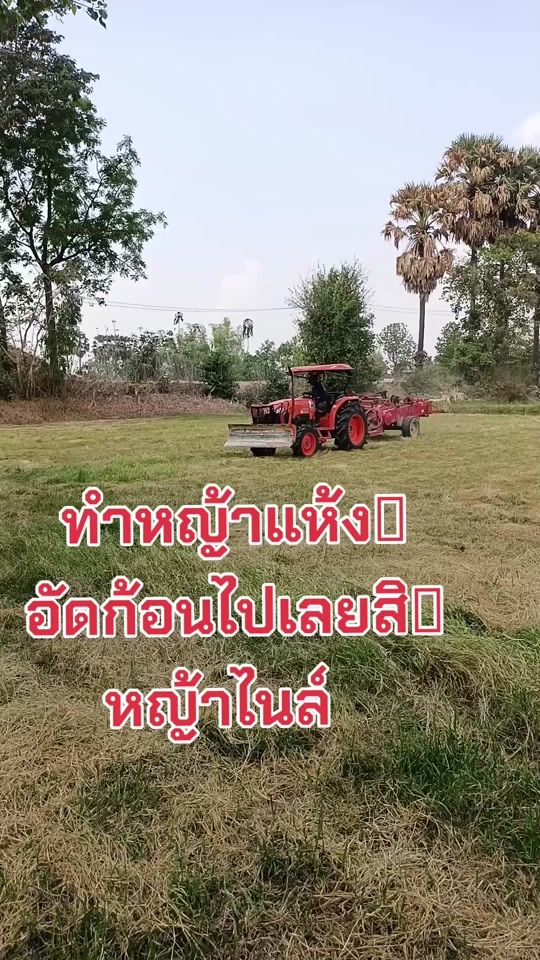TikTok video thumbnail by chang_narinfarm1978