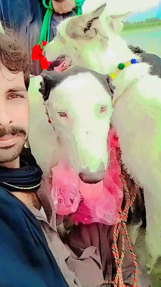 TikTok video thumbnail by raja.khan.narejo4