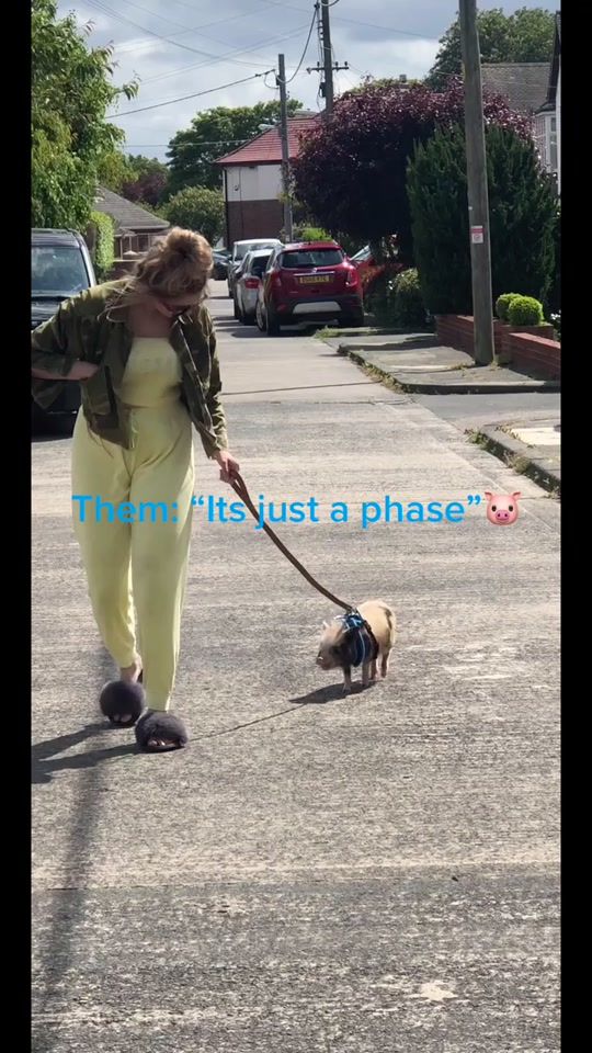 TikTok video thumbnail by savannahxpeaches_harding