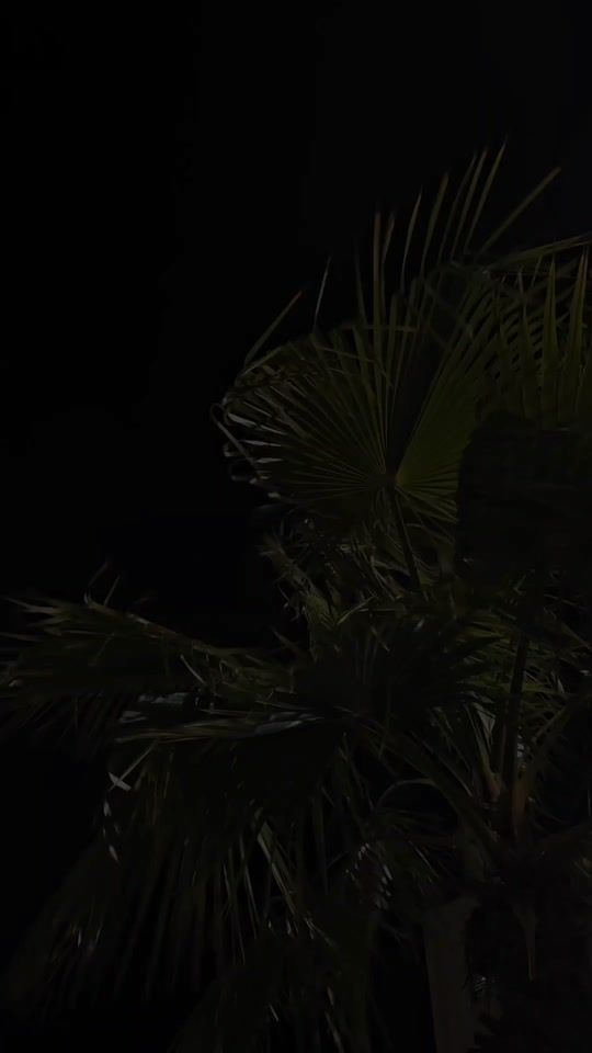 TikTok video thumbnail by setir.muzik