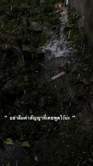TikTok video thumbnail by fitree_59