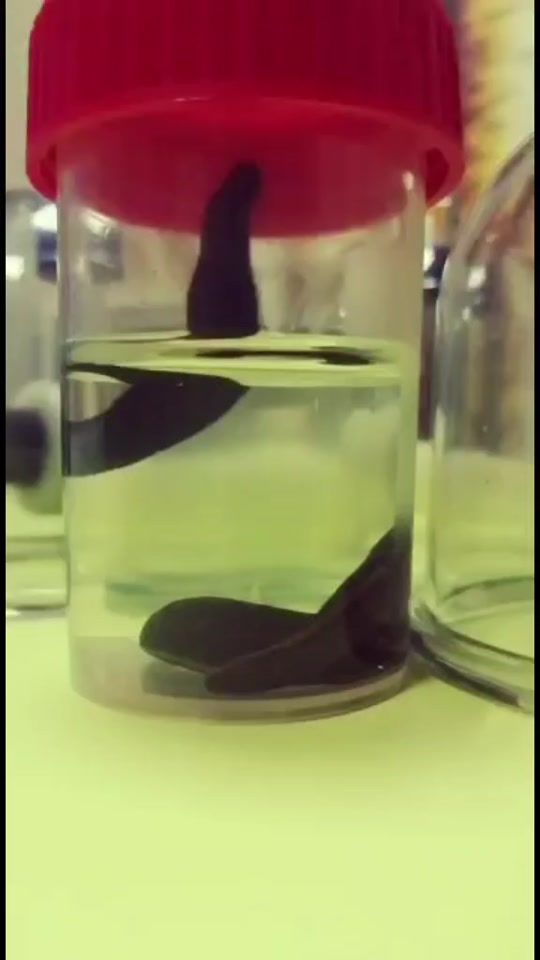 TikTok video thumbnail by nata5vak