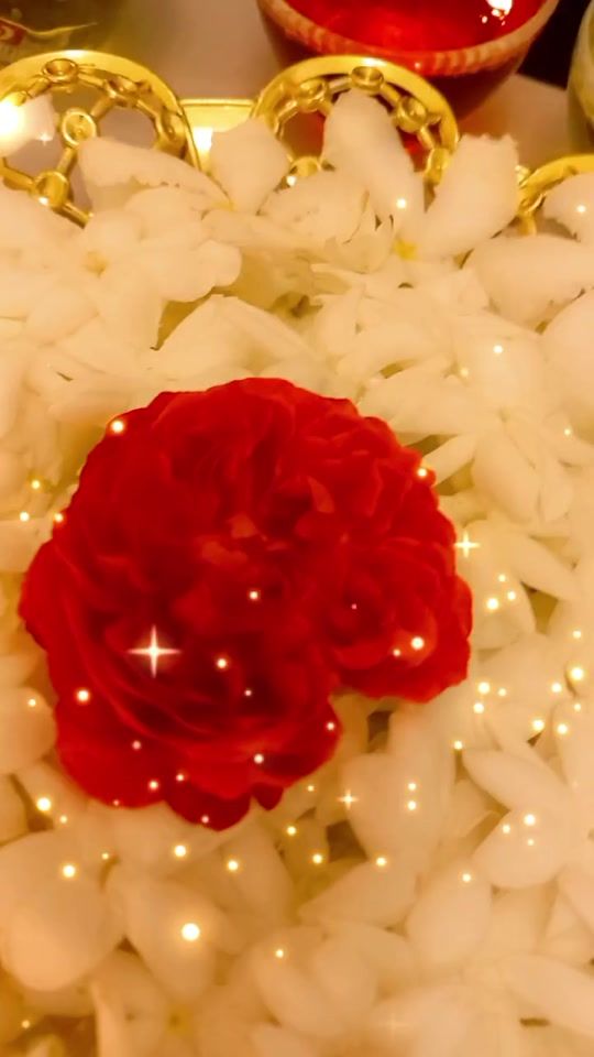 TikTok video thumbnail by dilshanpeththanay