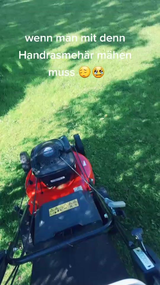 TikTok video thumbnail by baueralex4