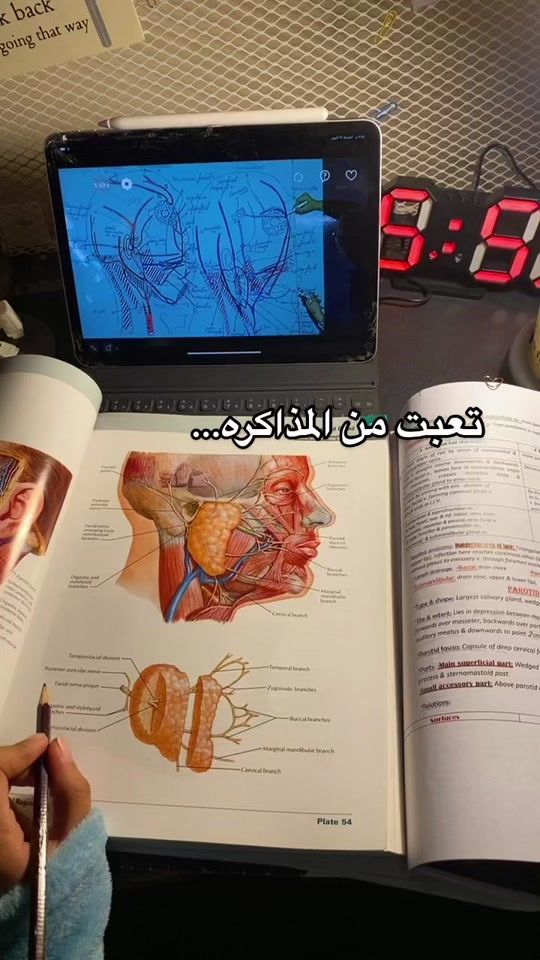 TikTok video thumbnail by khlisk