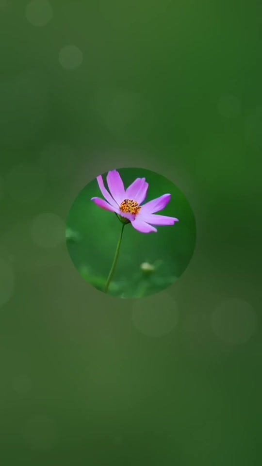 TikTok video thumbnail by user6004229229062
