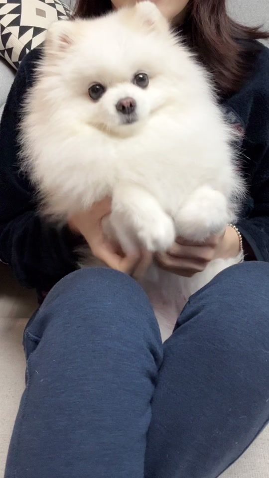 TikTok video thumbnail by xo_hari_