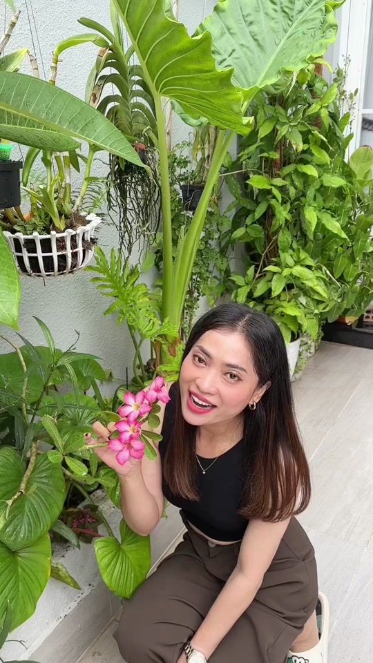 TikTok video thumbnail by jinith3
