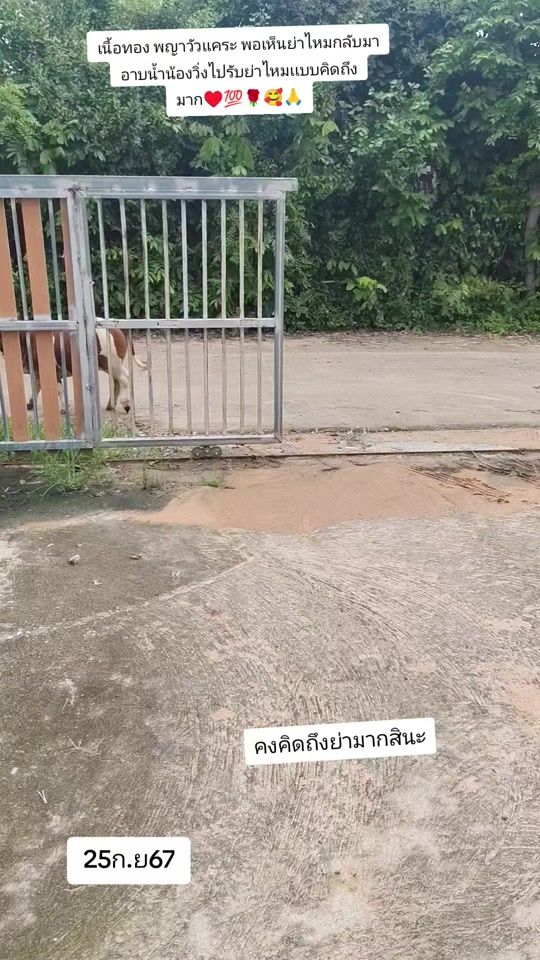 TikTok video thumbnail by t636007